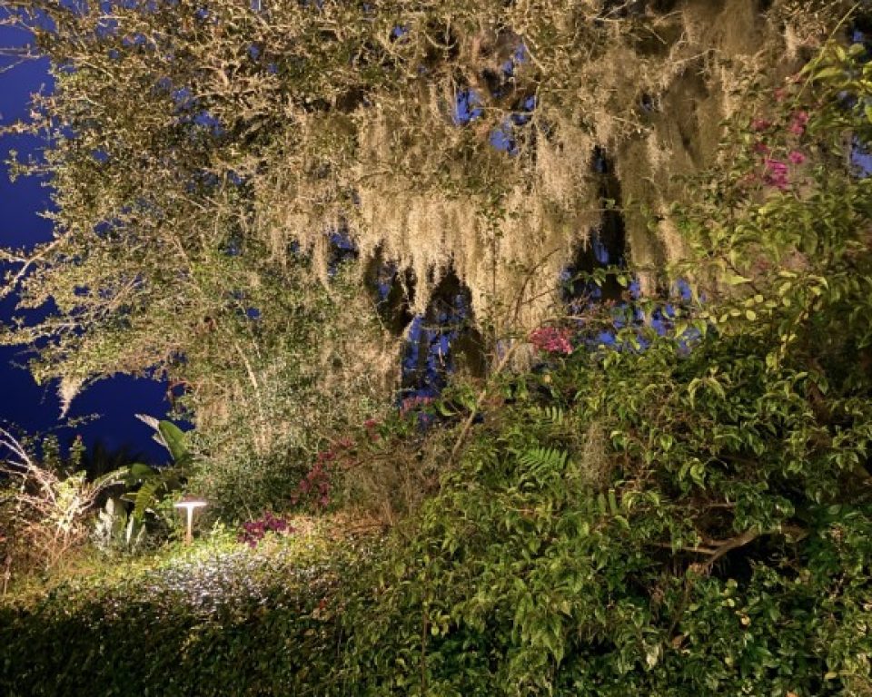 Elevated Landscape Lighting