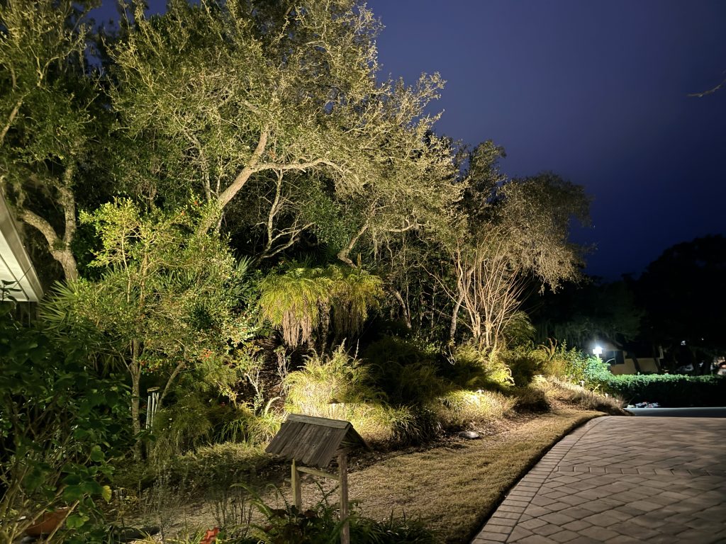 Woodland Preserve Lighting