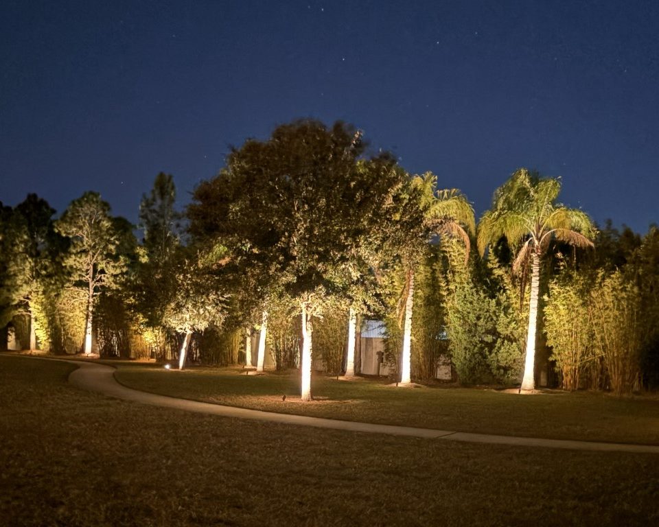Palm Tree Ambient Pathway Lighting
