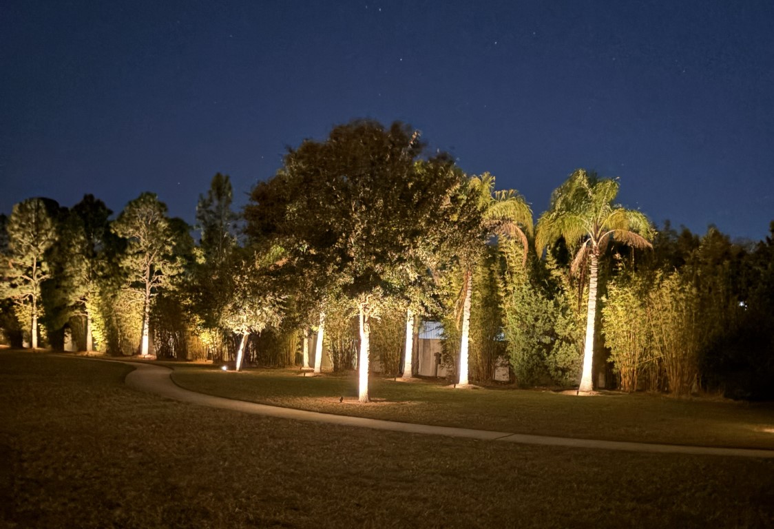 Palm Tree Ambient Pathway Lighting