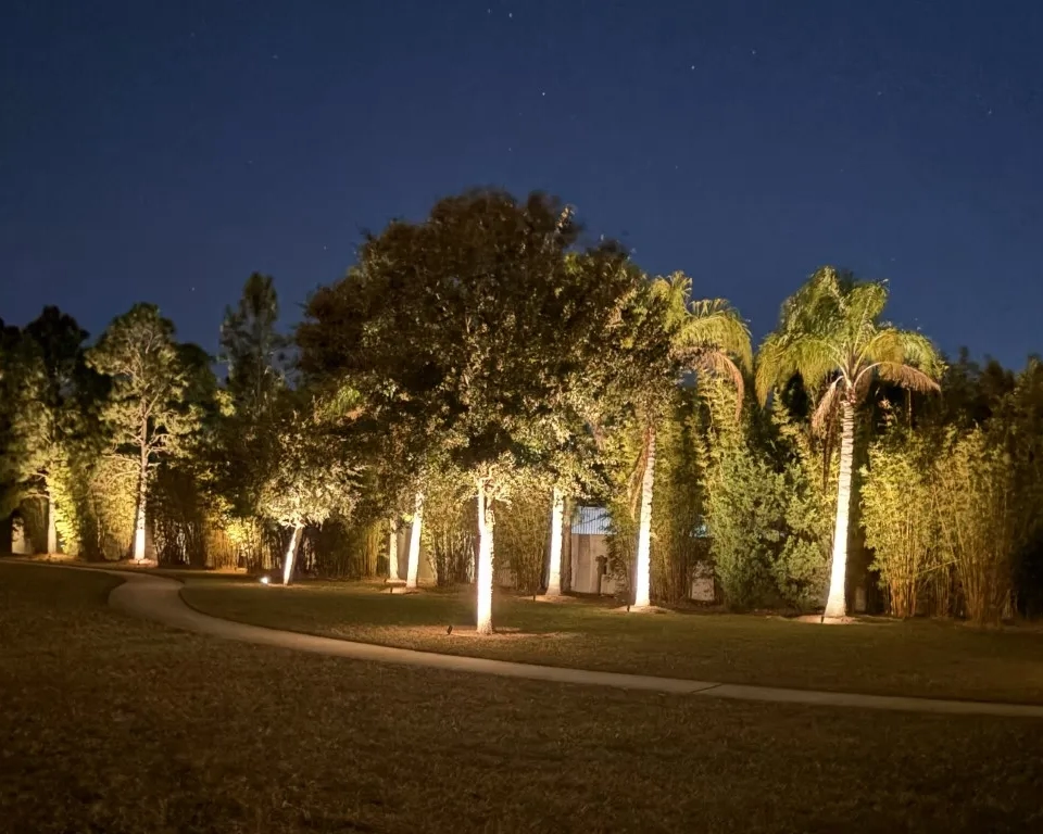 HOA Ambient WalkwayPathway Palm Trees Lighting