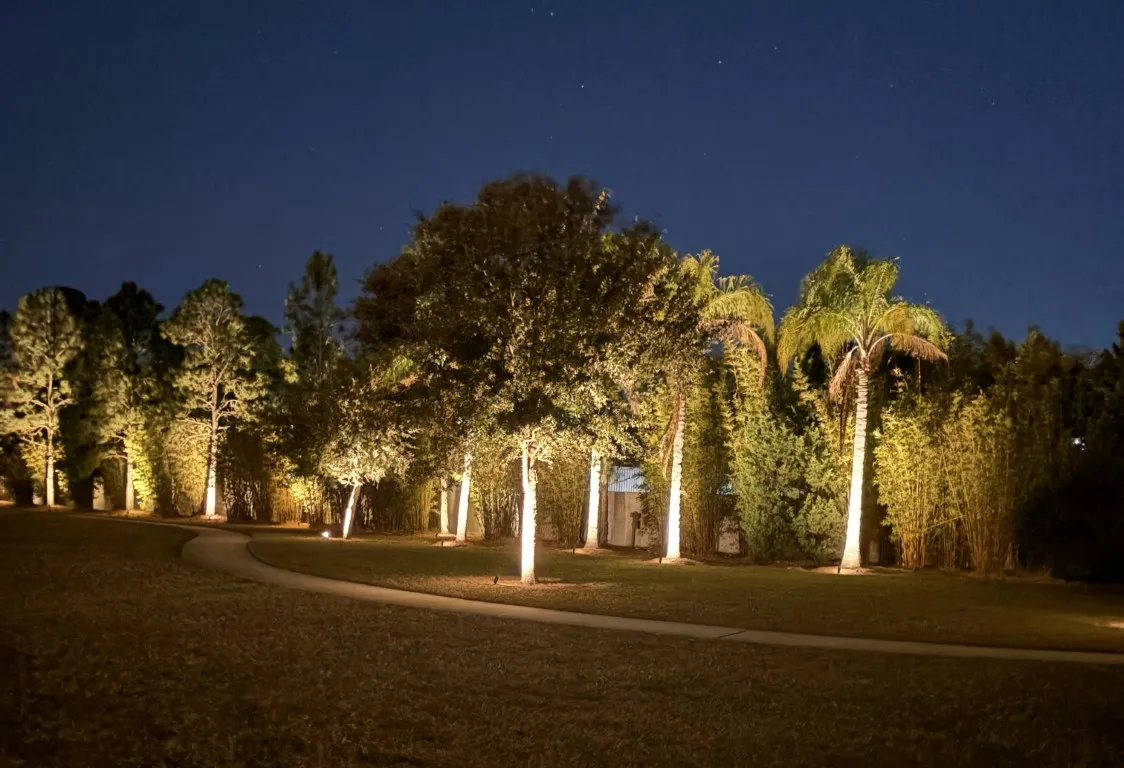 HOA Ambient WalkwayPathway Palm Trees Lighting