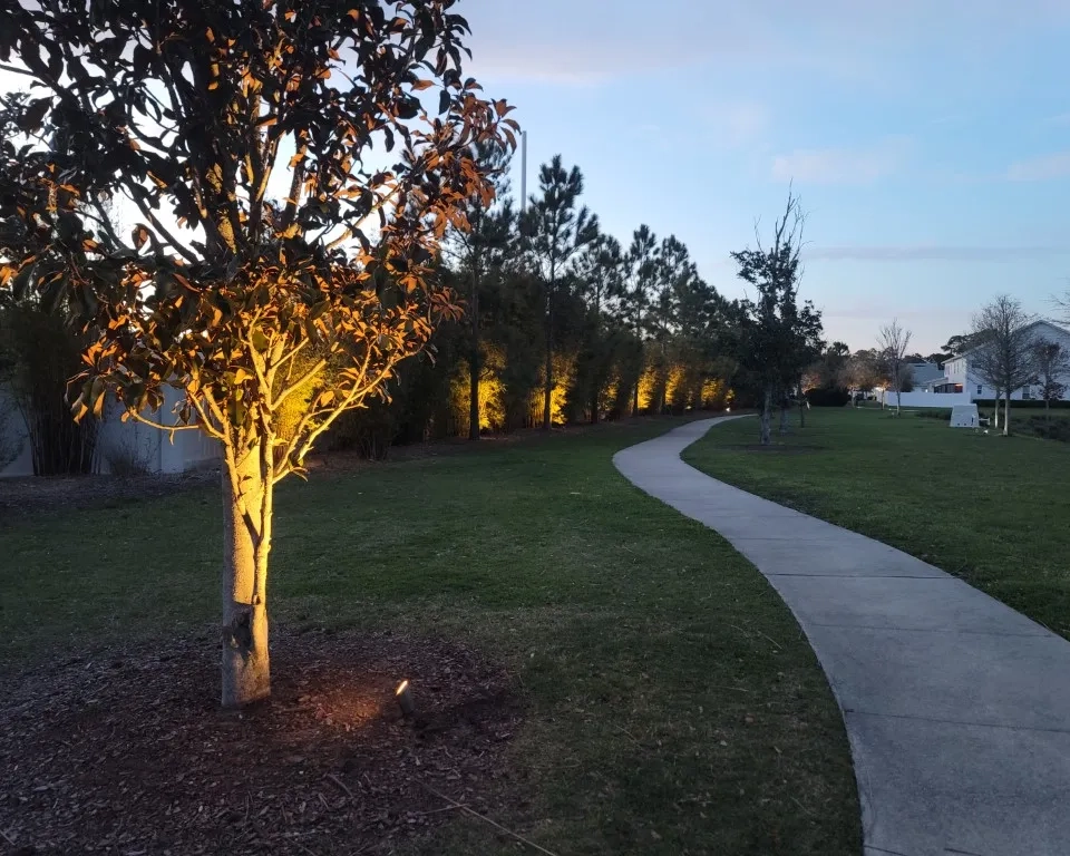 Twilight Walkway-Pathway Ambient