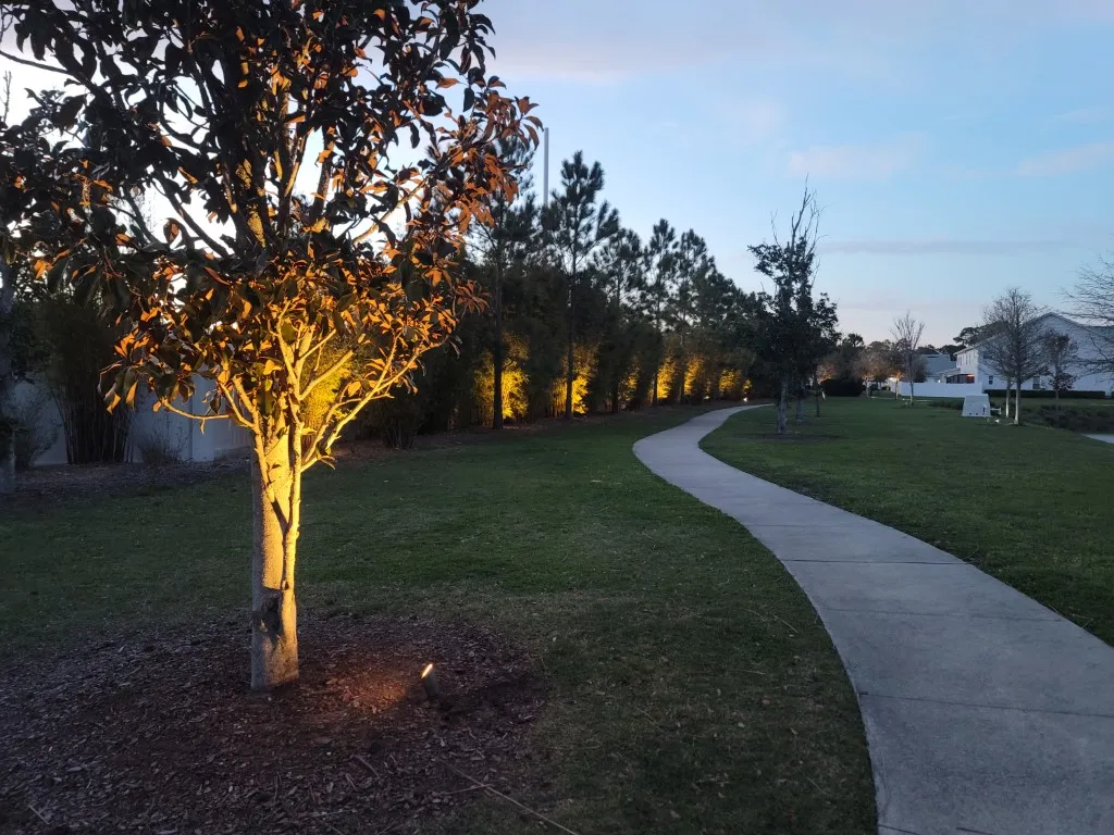 Twilight Walkway-Pathway Ambient