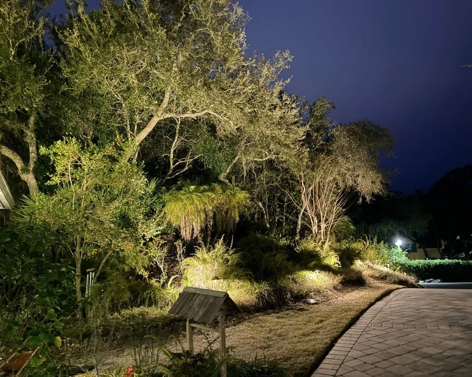Woodland Preserve Lighting