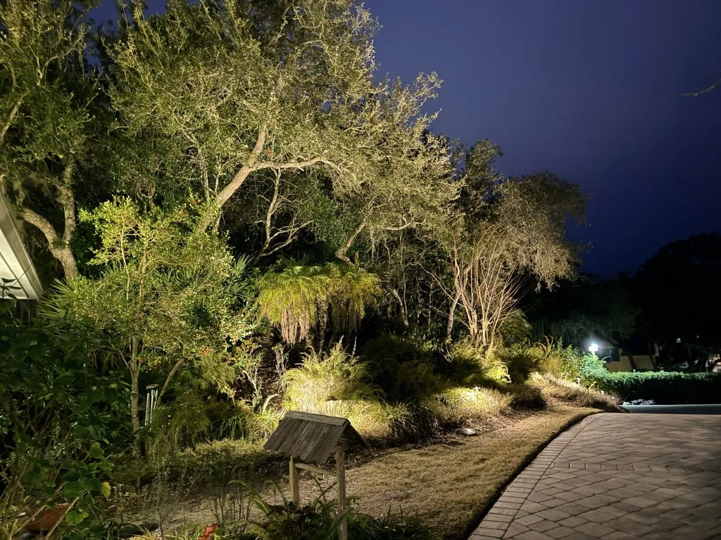 Woodland Preserve Lighting